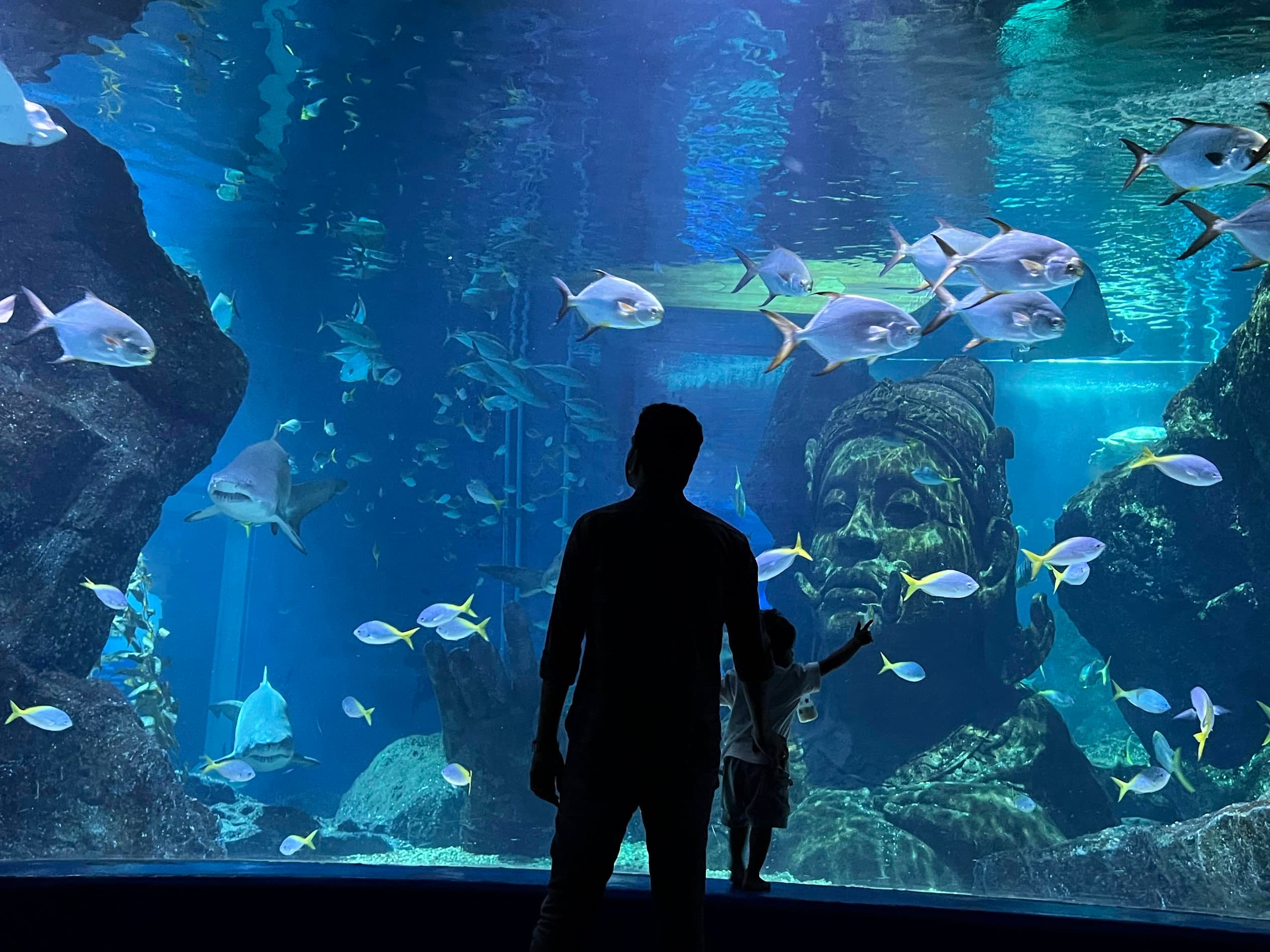 SEA LIFE Bangkok Ocean World!