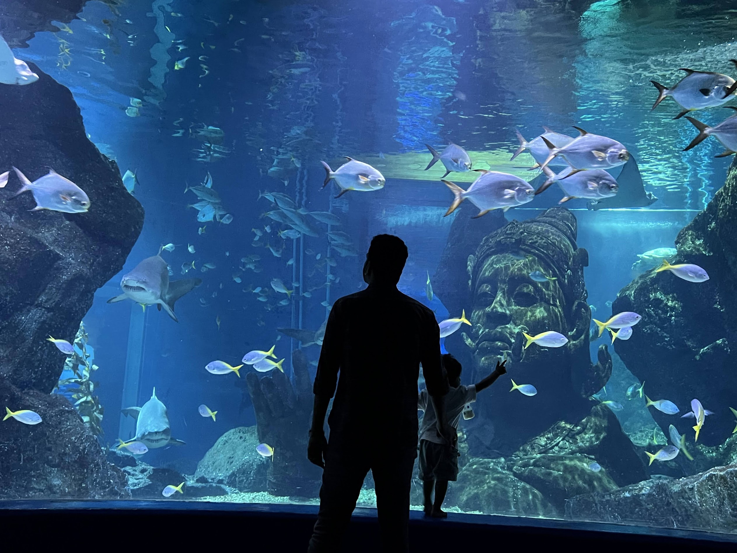 SEA LIFE Bangkok Ocean World!
